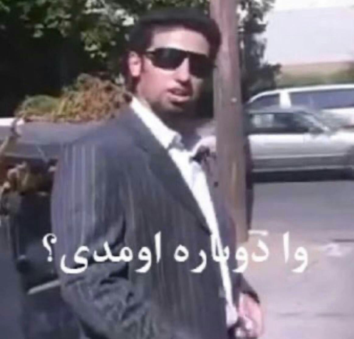 گربه پالاس 