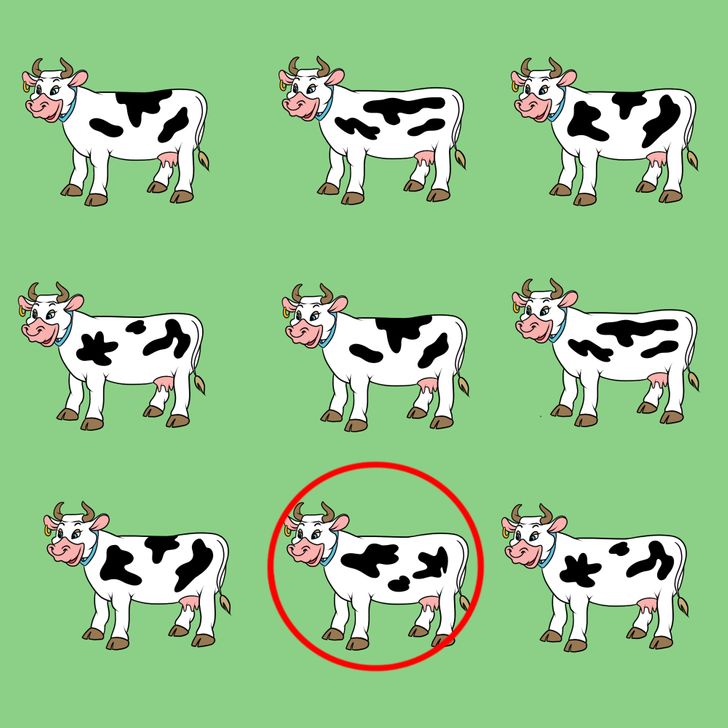 معما با جواب